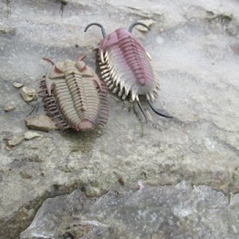 Трилобиты оттаяли