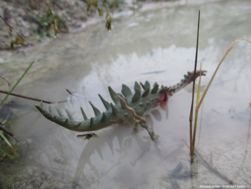 Ящеры в Розовых Скалах: коварная топь
