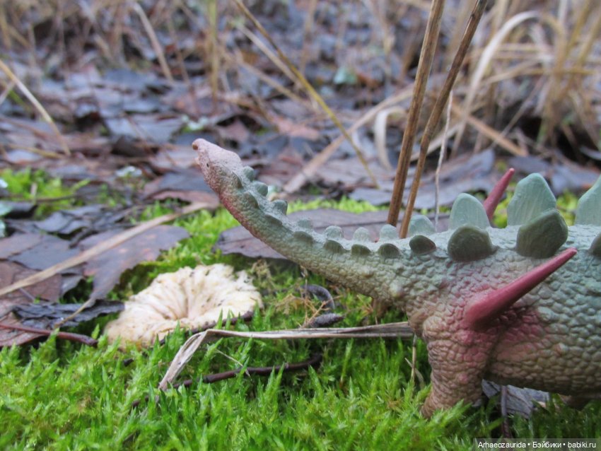 Ящеры в Розовых Скалах: коварная топь (фото 5)