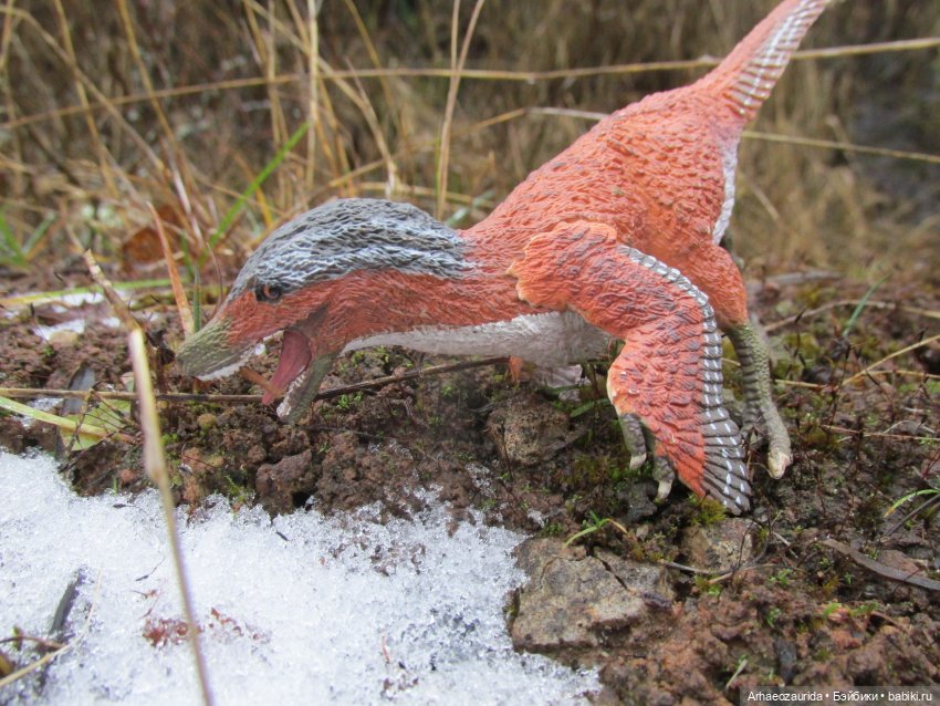 Ящеры в Розовых Скалах: коварная топь (фото 4)