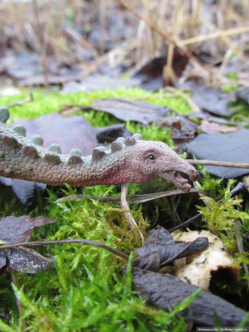 Ящеры в Розовых Скалах: коварная топь (фото 6)