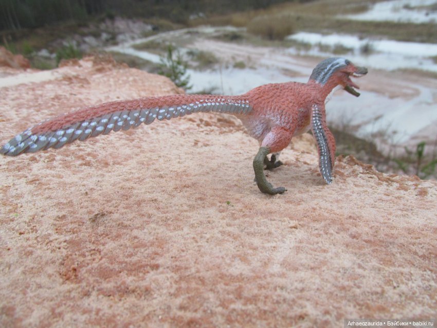 Ящеры в Розовых Скалах: коварная топь (фото 8)