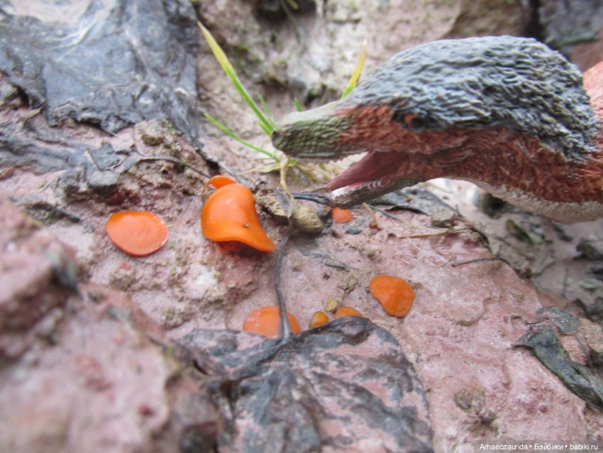 Ящеры в Розовых Скалах: коварная топь
