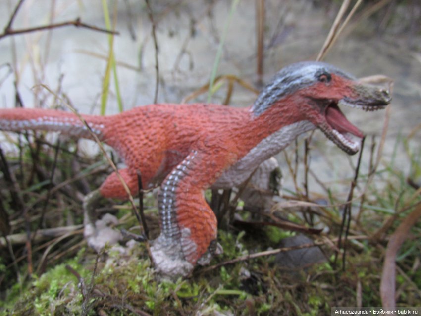 Ящеры в Розовых Скалах: коварная топь