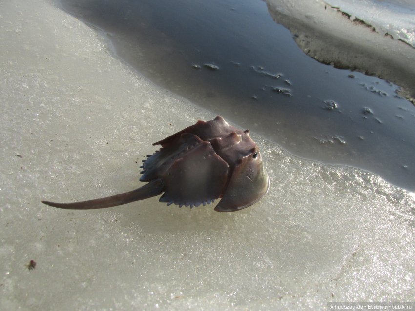 У Реки: весенняя разведка