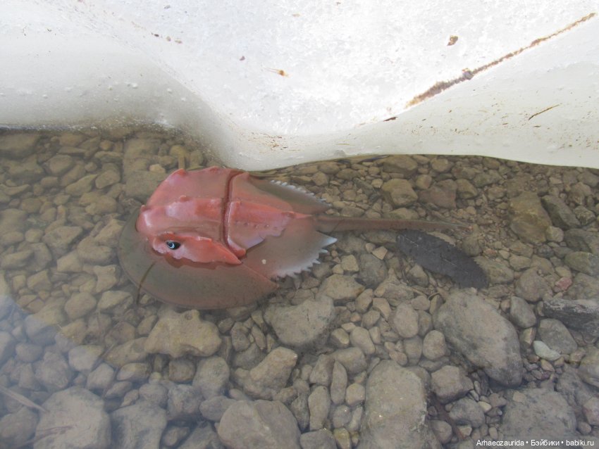 У Реки: весенняя разведка