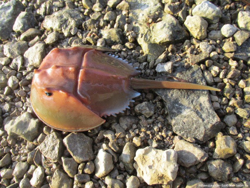 У Реки: весенняя разведка