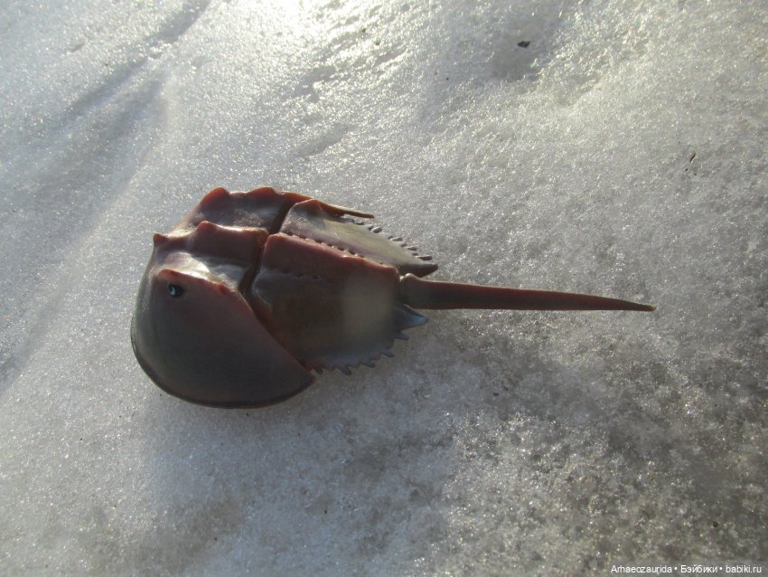 У Реки: весенняя разведка