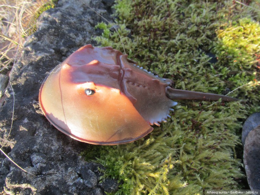 У Реки: весенняя разведка