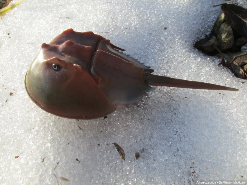 У Реки: весенняя разведка