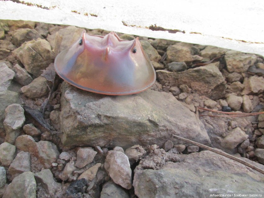 У Реки: весенняя разведка