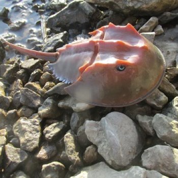 У Реки: весенняя разведка