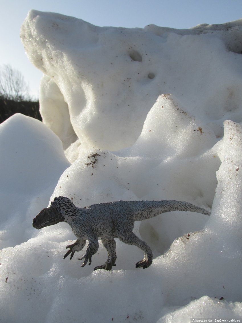 Снежный хищник и формы льда (фото 10)