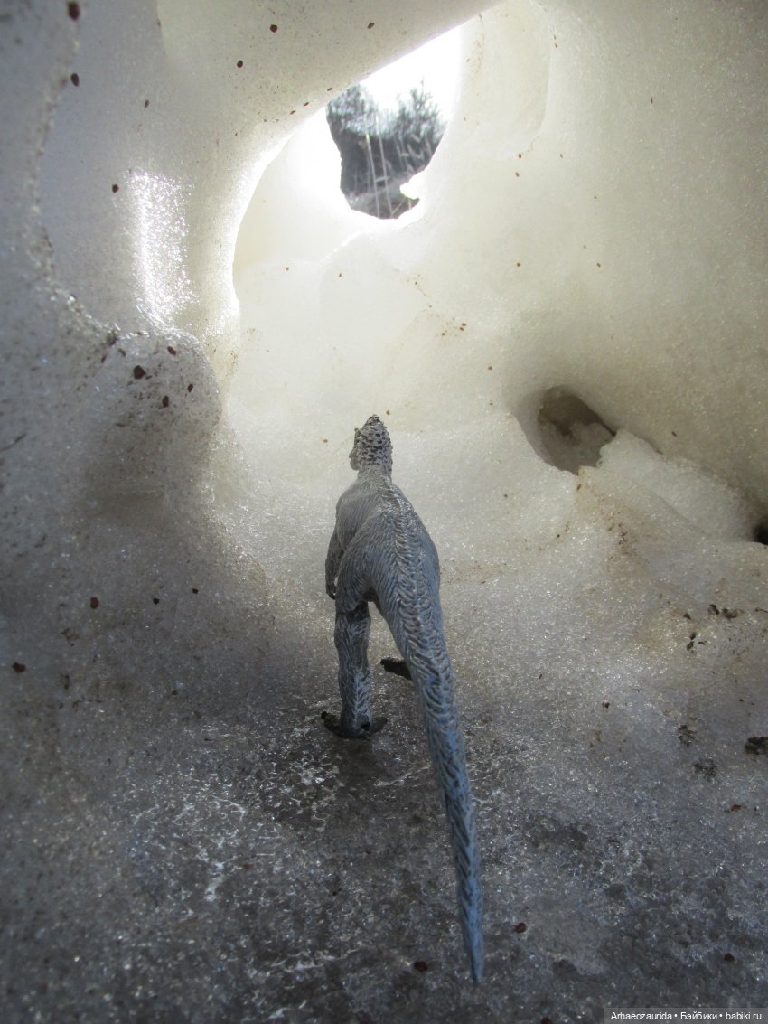 Снежный хищник и формы льда (фото 9)