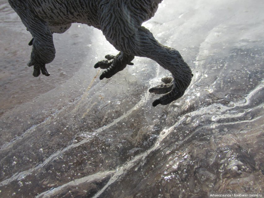 Снежный хищник и формы льда (фото 4)