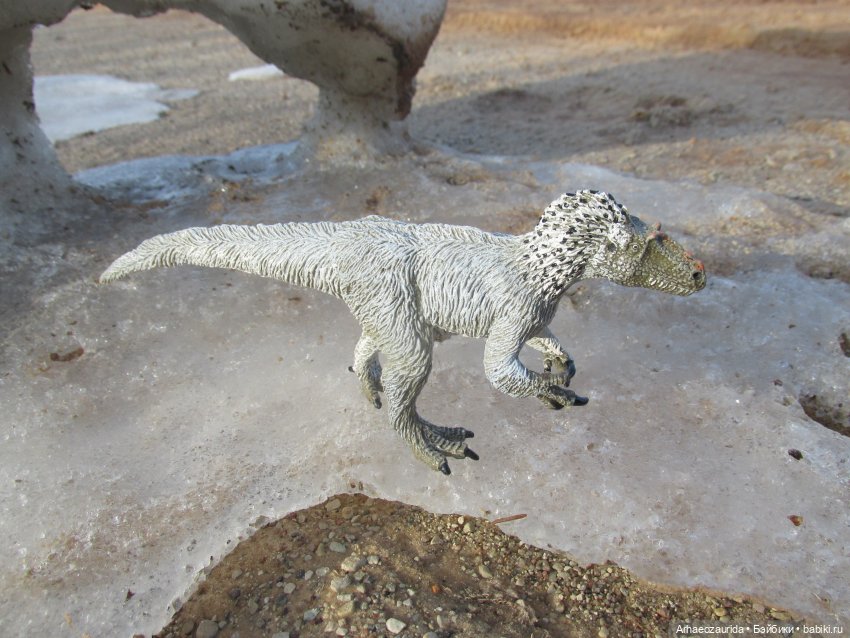 Снежный хищник и формы льда (фото 2)