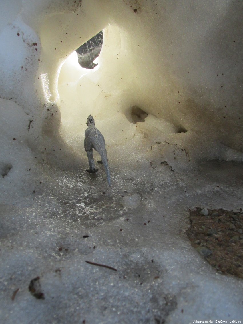 Снежный хищник и формы льда (фото 8)