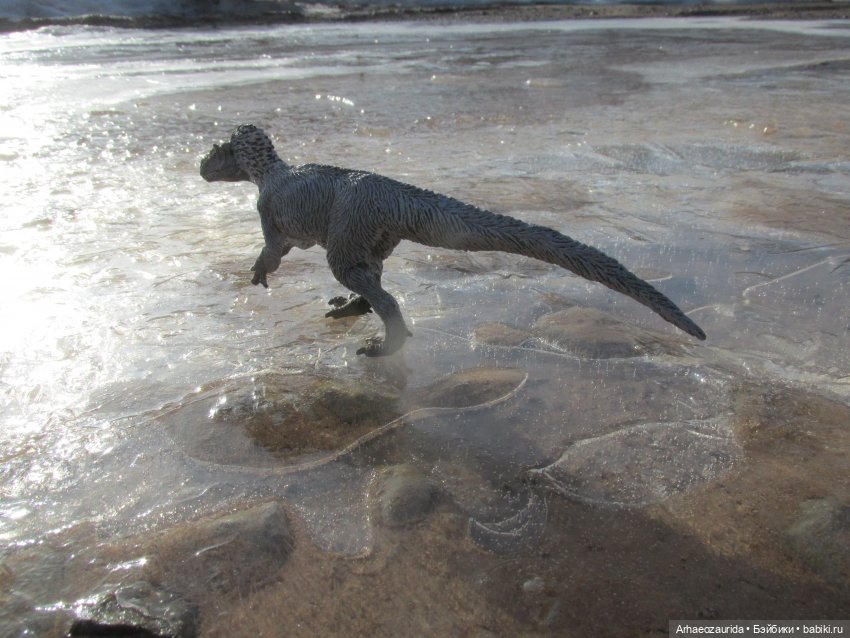 Снежный хищник и формы льда (фото 5)