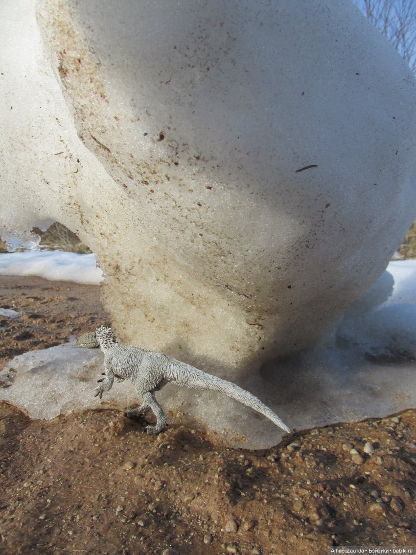 Снежный хищник и формы льда (фото 7)