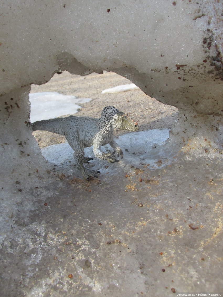 Снежный хищник и формы льда