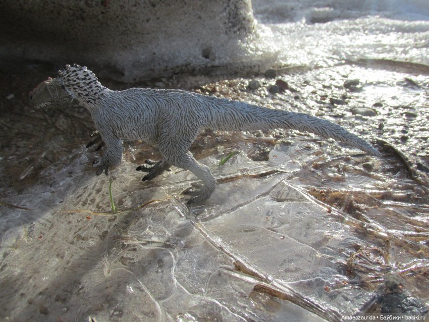 Снежный хищник и формы льда (фото 6)