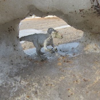 Снежный хищник и формы льда