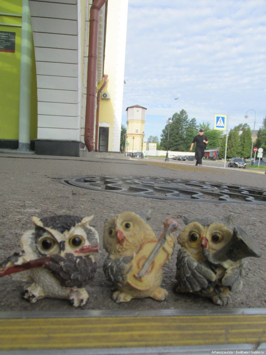 Совиное Трио и Камень Древних. Часть 1. Едем в отпуск