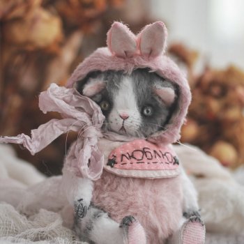 Тедди Котенок