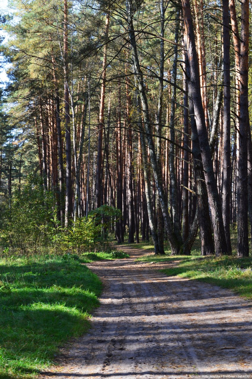 В лучах осеннего солнца | Бэйбики В лучах осеннего солнца — Куклы Reina del Norte (Рейна дель Норте): Северянки (фото 9)