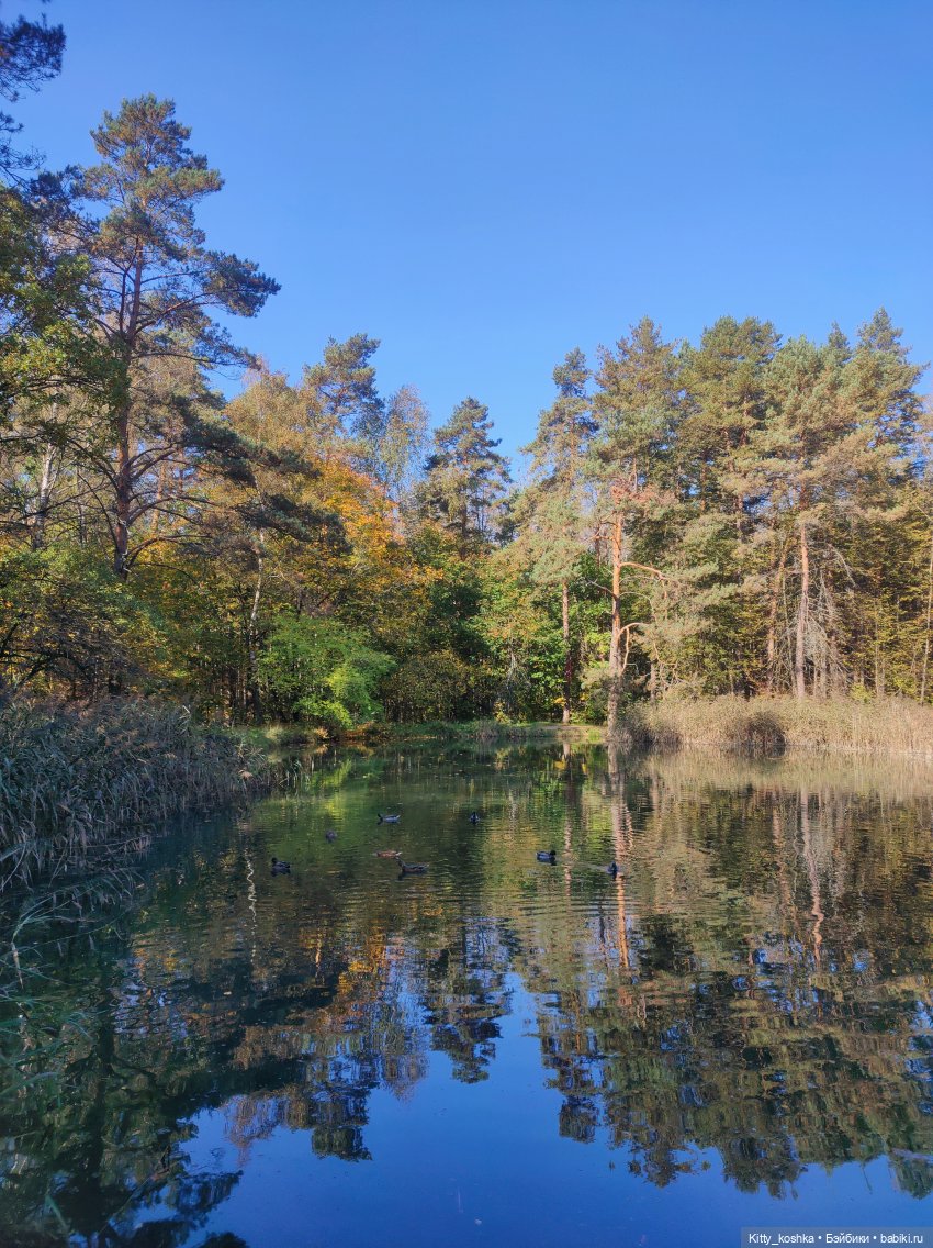 Ася встречает сестричку — Российские куклы Весна