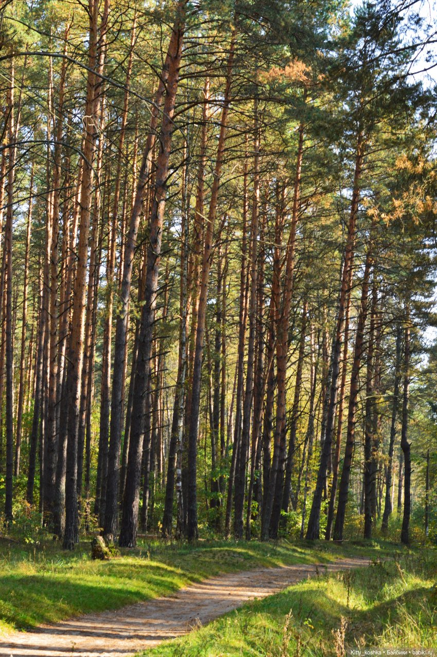 Ася встречает сестричку — Российские куклы Весна