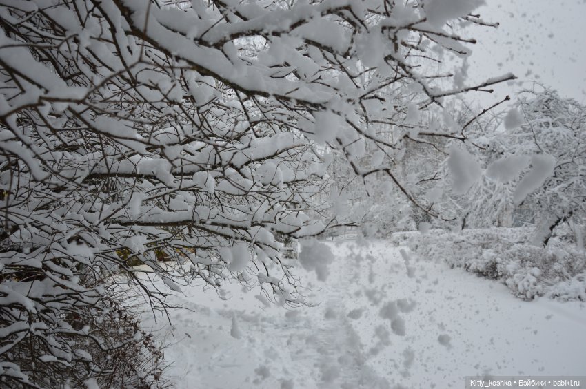 Время года Зима ("Четыре сезона", ч. 1) (фото 3)