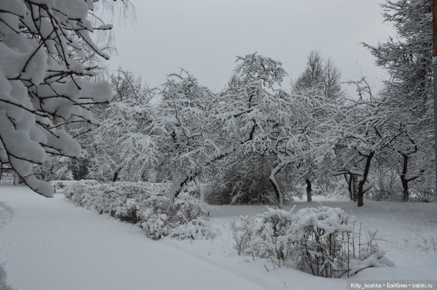 Время года Зима ("Четыре сезона", ч. 1)