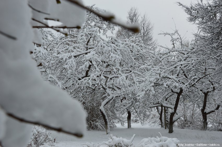 Время года Зима ("Четыре сезона", ч. 1) (фото 2)