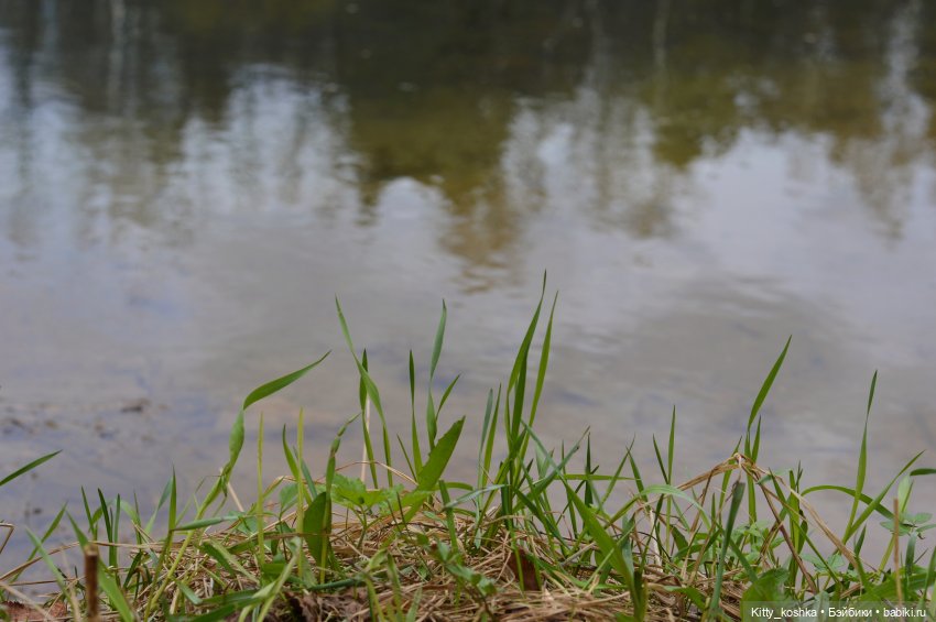 На зайкиной полянке — Куклы Paola Reina (Паола Рейна): новинки (фото 4)