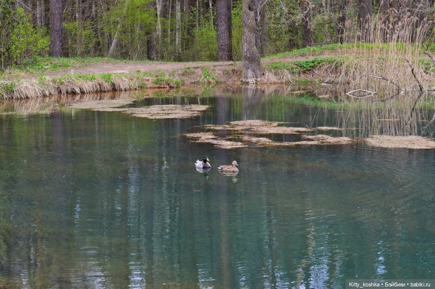 На зайкиной полянке — Куклы Paola Reina (Паола Рейна): новинки (фото 2)