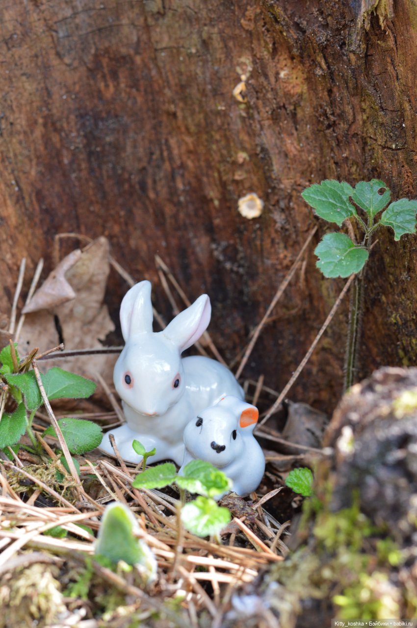 На зайкиной полянке — Куклы Paola Reina (Паола Рейна): новинки
