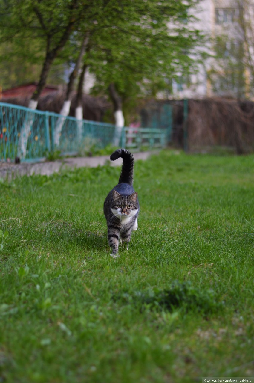 Время года Весна ("Четыре сезона", ч. 2) (фото 9)