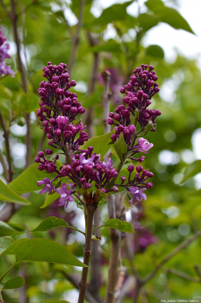 Мое хорошее настроение — Российские куклы Весна (фото 8)