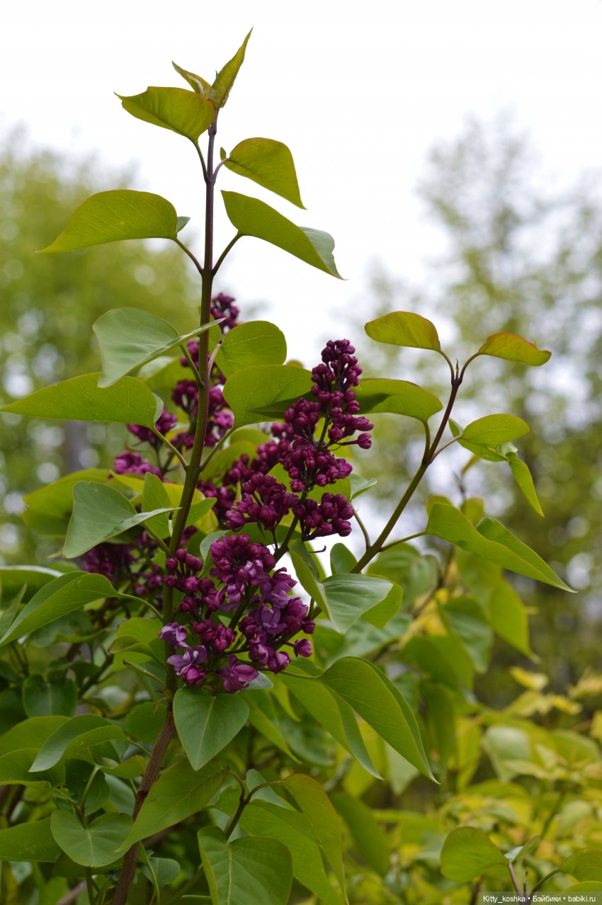 Мое хорошее настроение — Российские куклы Весна (фото 7)