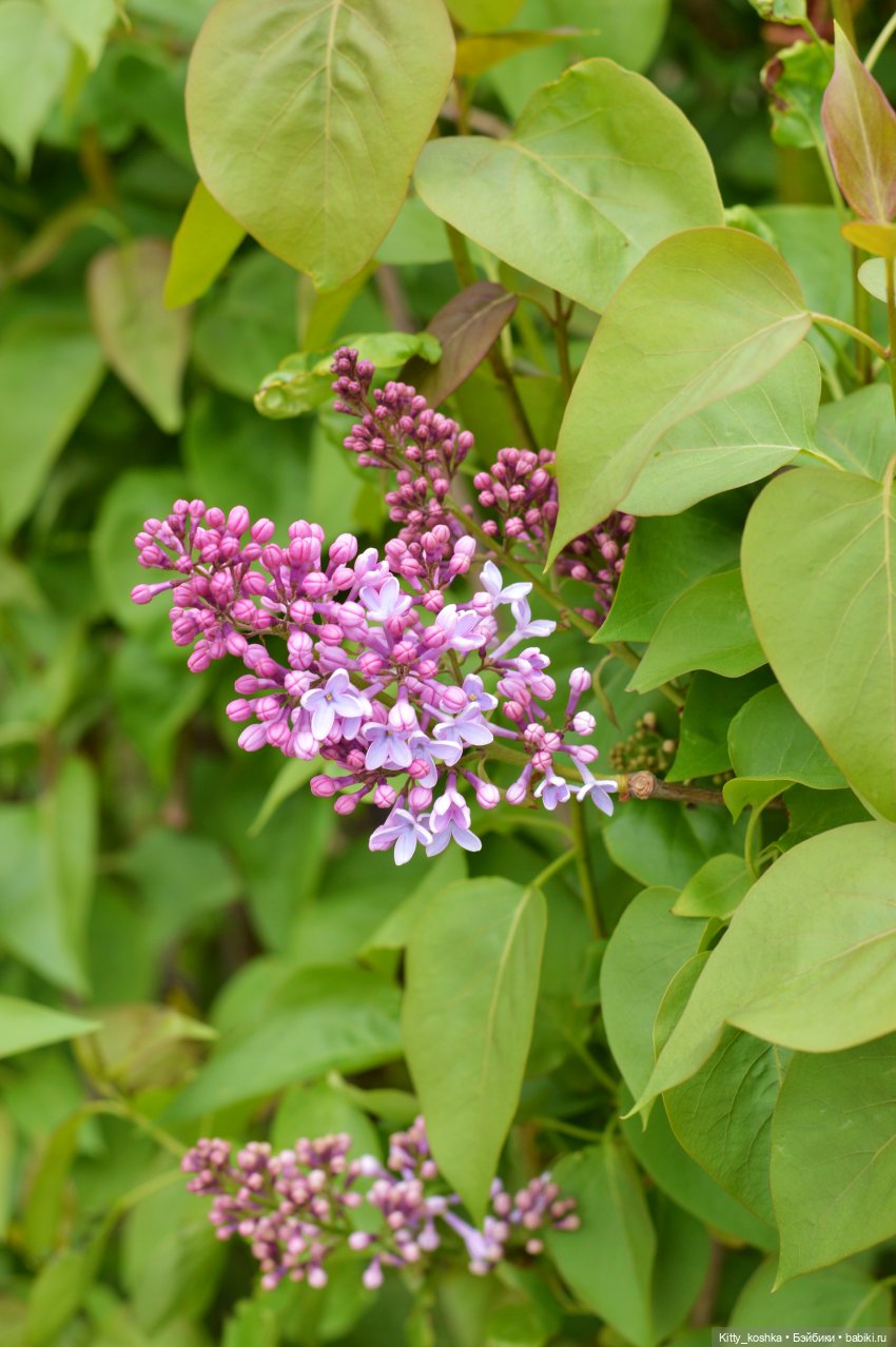 Мое хорошее настроение — Российские куклы Весна (фото 9)