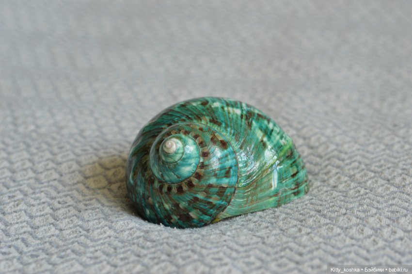 Первый парень на деревне — Куклы Paola Reina (Паола Рейна): новинки (фото 5)