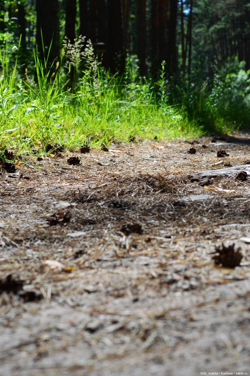 Прячемся от жары — Куклы Paola Reina (Паола Рейна): новинки
