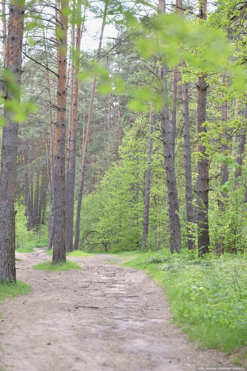 Женька гуляет — Куклы Паола Рейна (фото 2)