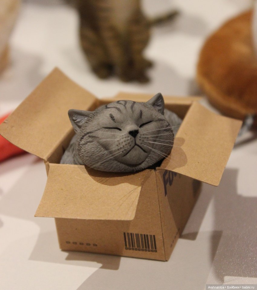 Бал? Больше! Целый мир — Выставки кукол и мишек Тедди: фоторепортажи