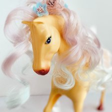 Преображение лошадки