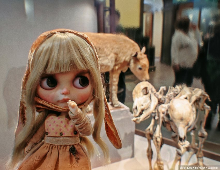 Туристы в Кунсткамере — Куклы Blythe (Блайз) ООАК: кастом (фото 6)
