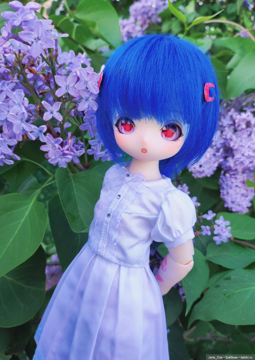 Сиреневое — Аниме куклы (MJD/Винил): Imomo