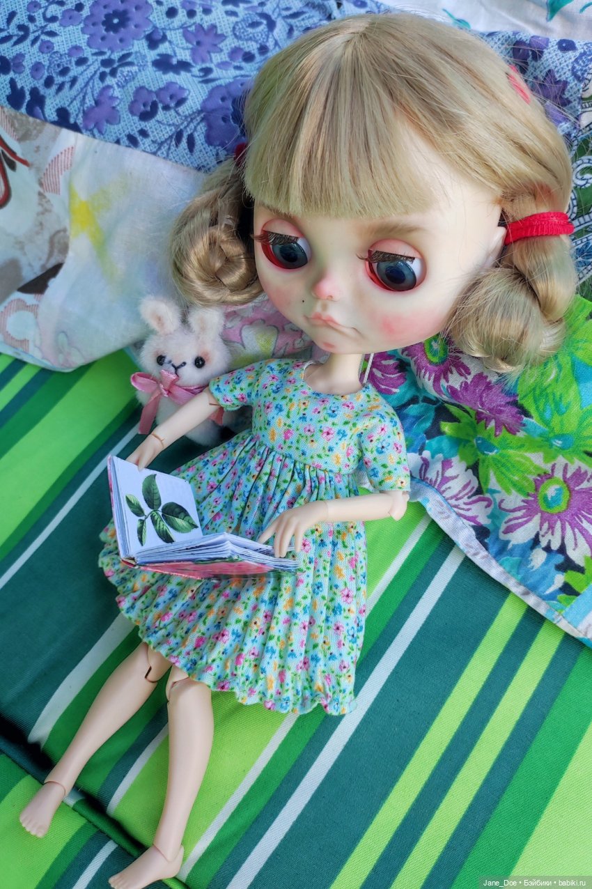Прекрасный летний день — Куклы Blythe (Блайз) ООАК: кастом