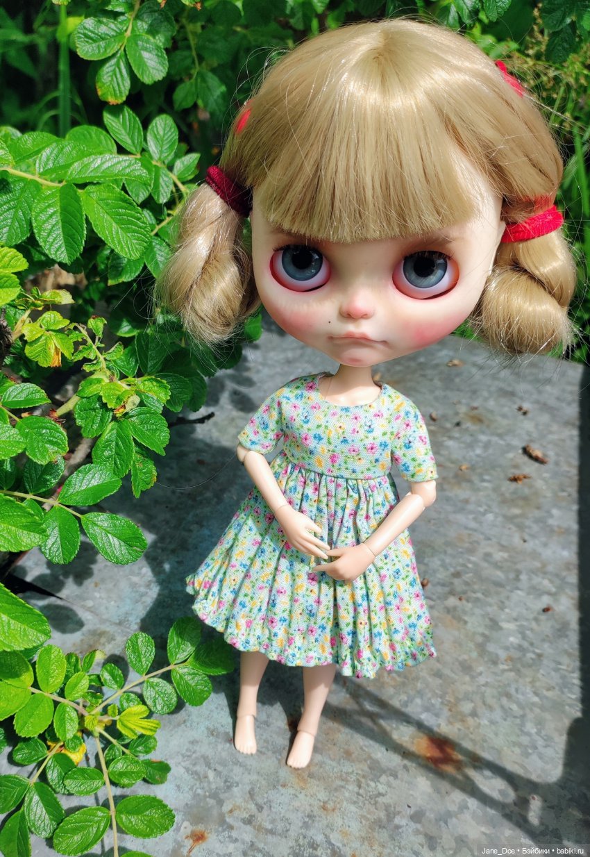 Прекрасный летний день — Куклы Blythe (Блайз) ООАК: кастом